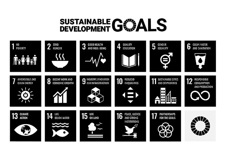 아이콘: 세상을 바꾸기 위한 17가지 목표